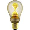 Lampadina LED E27 decorativa Dna A60 65 lm bianco caldo