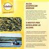 Concime universale biologico Algasan Solabiol 1 l