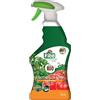 Fito Insetticida cocciniglia stop naturale 0,5% 750 ml