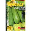 Semi Zucchino greyzini