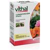 Lumachicida Vithal PFnPO 200 g
