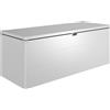 Biohort Baule da esterno Stylebox Biohort 210 Argento metallizzato 207x81x80 cm