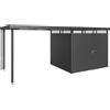 Biohort Tetto laterale Biohort per casetta HighLine H3 grigio scuro