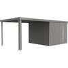 Tetto laterale Biohort per casetta Neo 3A/3B/3C/3D Grigio quarz met