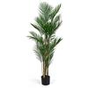 - Pianta artificiale in plastica Kenzia h150 cm