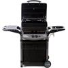 - Barbecue a gas Piùsaporillo 2 bruciatori con ripiano laterale antracite