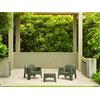 BICA Salotto da giardino Ibiza Terrace 2 poltrone ed 1 tavolino Pine Green