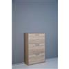 Scarpiera 3 ribalte doppia profondita 100x65x25 cm rovere sonoma
