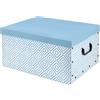 Compactor Baulotto in cartone Color blu 50x40x25 cm