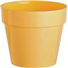 Vaso standard in plastica Ø 20 cm miele