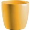 - Vaso stars in plastica Ø 20 cm miele