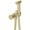 Miscelatore bidet Iguará a scomparsa con doccetta oro spazzolato