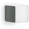 Steinel Lampada LED senza rilevatore L 830 493 lm 13x11x11 cm antracite