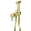 Miscelatore bidet Limonar a scomparsa con doccetta oro