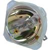 SOUNDSATION LAMPADA 2R STANDARD