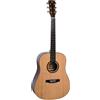 SOUNDSATION CHITARRA ACUSTICA SOUNDSATION OLYMPIC-DN-GNT DREADNOUGHT