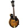 SOUNDSATION MANDOLINO SOUNDSATION BLUEGRASS BMA-100ES SUNBURST F STYLE + PICKUP