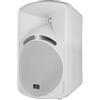 HILL AUDIO COPPIA DIFFUSORI100V 4 HILL AUDIO SMW-420WT BIANCO