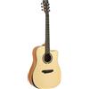 OQAN QGA-100C SOLID NAT (NO PREAMP)