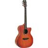 OQAN QGA-102 RDC (NO PREAMP)