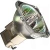 SOUNDSATION LAMPADA STANDARD 7R