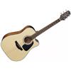 TAKAMINE GD30CE NAT