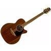 TAKAMINE GSN11MCE NG