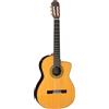 TAKAMINE TAK-EH5C