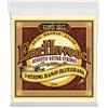 ERNIE BALL 2063 EARTHWOOD BANJO BLUEGRASS TERMINATE AD ANELLO BRONZO 80/20