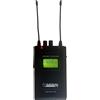 AUDIODESIGN PMS PRO RX
