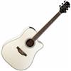 TAKAMINE GD37CEPW