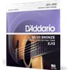 D'ADDARIO EJ13