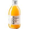 BABASUCCO Srl BABASUCCO ESTRATTO DIGESTIVO BOTTIGLIA VETRO 250 ML