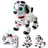 Varrotoy Cane Robot per Bambini, Robot Cane Programmabile e Telecomandato, Giocattolo RC con Luci e Suoni, Giocattolo Robotico Cane Intelligente Interattivo, Regalo Educativo per Bambini 8+ Anni