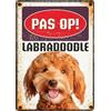 Plenty Gifts cartello attenti al cane - Labradoodle - targa decorativa in metallo - versione olandese - 14,8x21cm