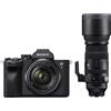 Sony Alpha ILCE-7 IV + 28-70mm + Sigma 150-600mm