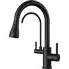 FORIOUS Rubinetto Lavello Cucina, Miscelatore a tre vie, Girevole a 360° Rubinetto Cucina con Doccetta Estraibile e Filtro Dell'acqua, Miscelatore a doppia maniglia, Nero Opaco