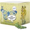 Smart Bugs BUTTERFLYKIT-Il Kit per Allevare in Casa le farfalle di Cavolaia Maggiore - Esperimento educativo, Kit educativi scientifici Bambini, Idee Regalo Bambino Bambina (Con coupon_V)
