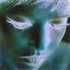 Warp Records New Avatar