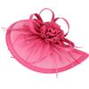 Alipis Piccolo Cappello a Rete Donna Accessorio Chioma in Canapa Sintetica Elegante e retrò per Balli in Maschera e Cerimonie Raffinato alla Moda