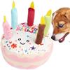 Generisch Giocattoli per cani scricchiolanti e farciti - Giocattolo per torta di compleanno, giocattolo interattivo, cani di piccola e media taglia, gioco arricchente, di allenamento | Durevole