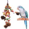 EnixwH Giochi Pappagalli Accessori Pappagallini Noci Ricche di Nutrienti