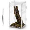 SCBOY Terrario in acrilico per ragni saltatori con pinzette 12×12×20 cm Per rettili e anfibi ragni lucertole coleotteri rane e insetti ecc Terrario multifunzionale