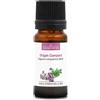 La Compagnie des Sens ORIGANO COMPATTO (Origanum compactum) BIO - 10mL - Olio Essenziale di Qualità Premium - 100% Puro, Naturale, Chemiotipizzato e Integrale