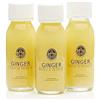 Fighter Shots Ginger Shot 60 ml