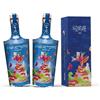 Cinque Terre Gin - 500 ml - Premium Gin 100% biologico Italiano - Premiato tra i migliori gin italiani al mondo nella categoria classic gin - 47% Vol. (2 x 500 ml (con astuccio))