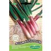 Germisem Allium Fistulosum Semi di Erba Cipollina Rosso 2 g