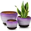 SOUJOY Set di 3 vasi da fiori rotondi in ceramica con fori di drenaggio e piattino per interni ed esterni, 2,1 cm, colore: Viola