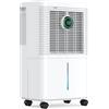 Ateroll Innvitop Deumidificatore Casa Muffa 16L/24h con Display Digitale Dell'umidità, Deumidificazione Smart, Asciugabiancheria, Timer, Tanica Estraibile, per Camera da Letto, Cantina, Lavanderia