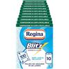 Regina Blitz, 10 Rotoli di Carta Multiuso a 3 Veli